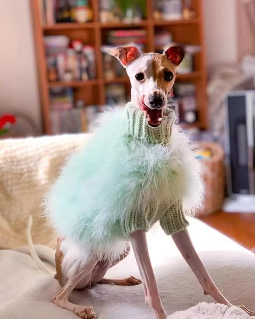 Anniepaw Fur Dog Coat Autumn and Winter Warmth Luxury French bulldog Pug Bichon Dog Sweater Pet Warm Core Yarn Pet Clothes AnniePaw Wear