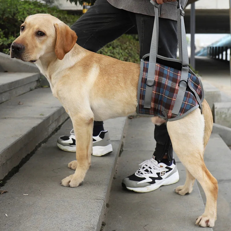 AnniePaw Leg Harness for Senior Dogs - Support for Mobility AnniePaw Wear