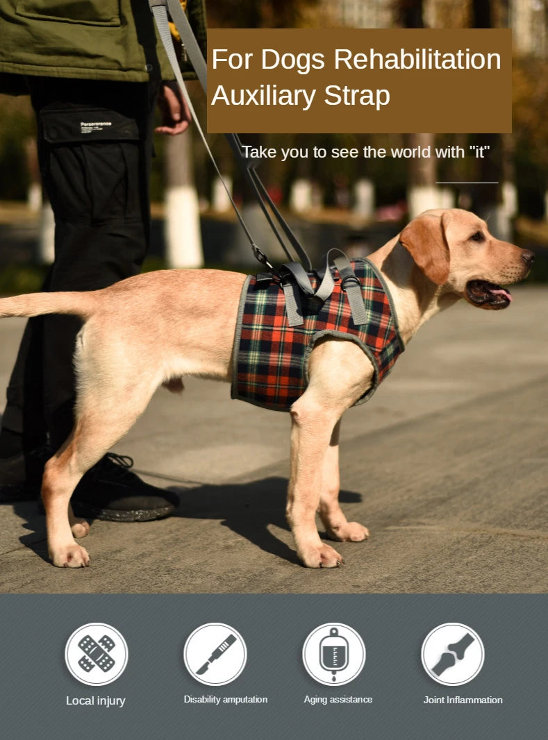 AnniePaw Leg Harness for Senior Dogs - Support for Mobility AnniePaw Wear