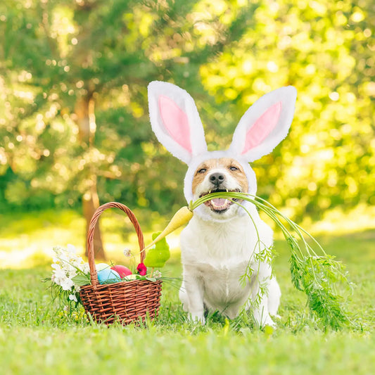 Easter Dog Collar with Bowtie Bunny Carrots Adjustable Cute Pink Anniepaw AnniePaw Wear