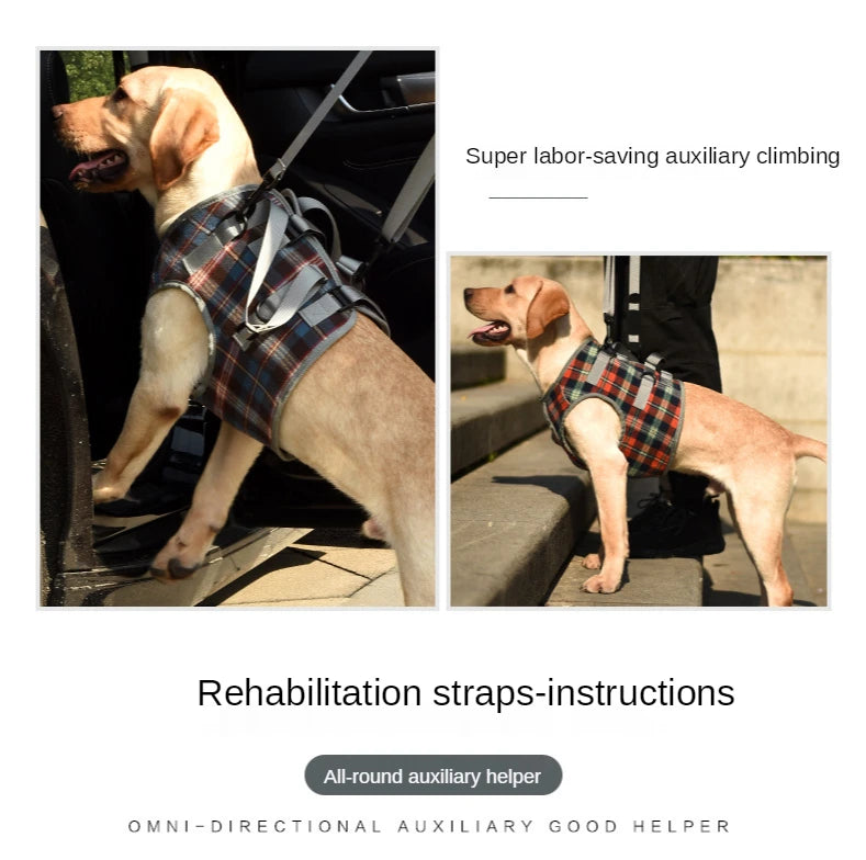 AnniePaw Leg Harness for Senior Dogs - Support for Mobility AnniePaw Wear