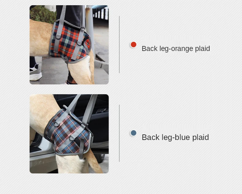 AnniePaw Leg Harness for Senior Dogs - Support for Mobility AnniePaw Wear