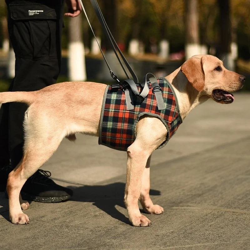 AnniePaw Leg Harness for Senior Dogs - Support for Mobility AnniePaw Wear