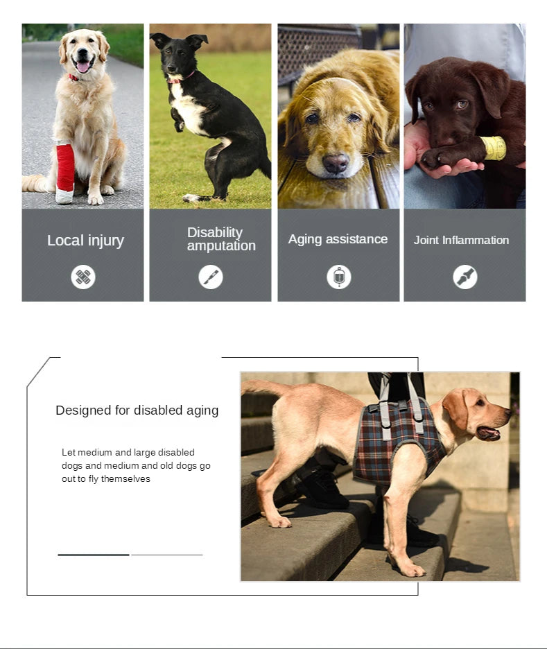 AnniePaw Leg Harness for Senior Dogs - Support for Mobility AnniePaw Wear