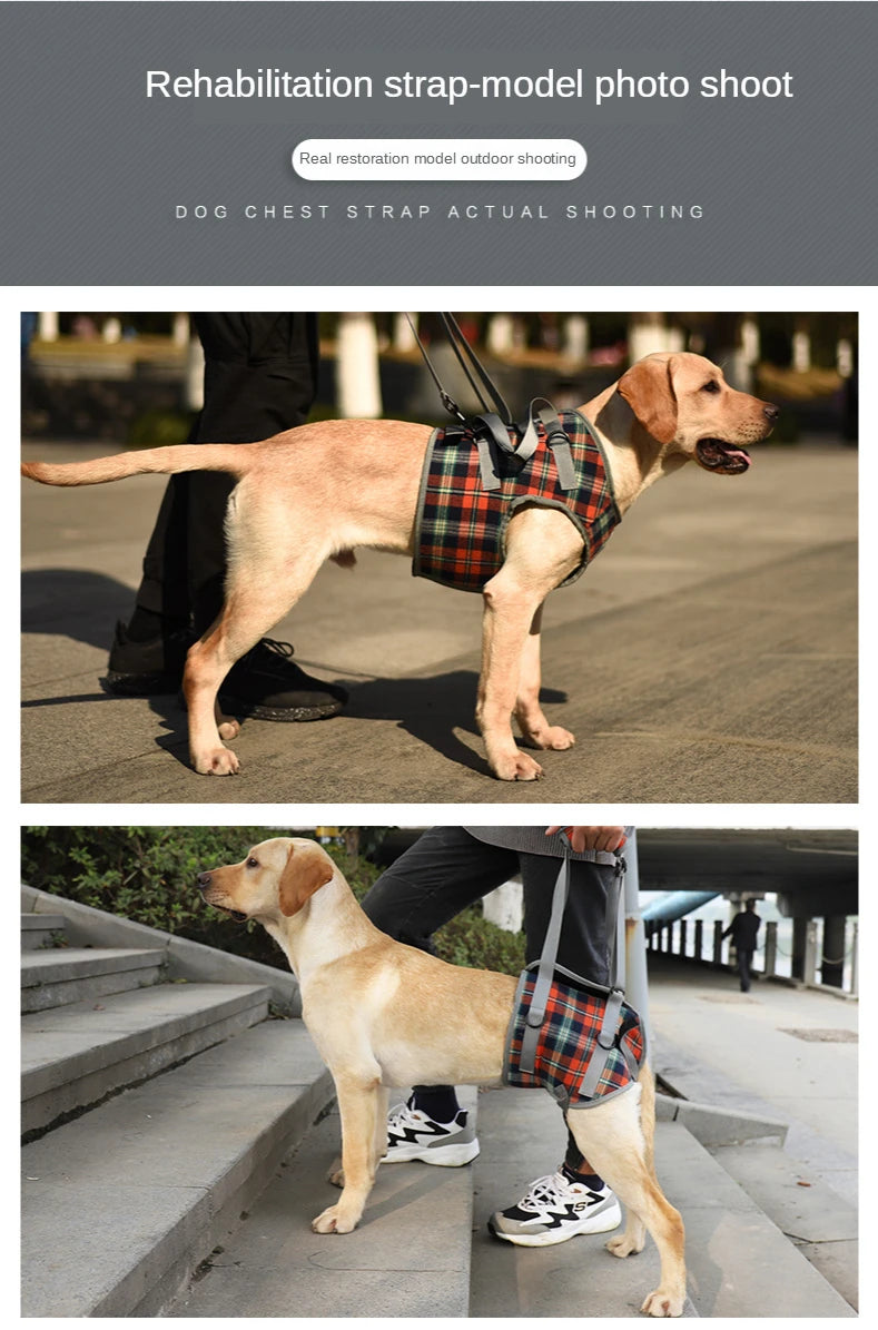 AnniePaw Leg Harness for Senior Dogs - Support for Mobility AnniePaw Wear