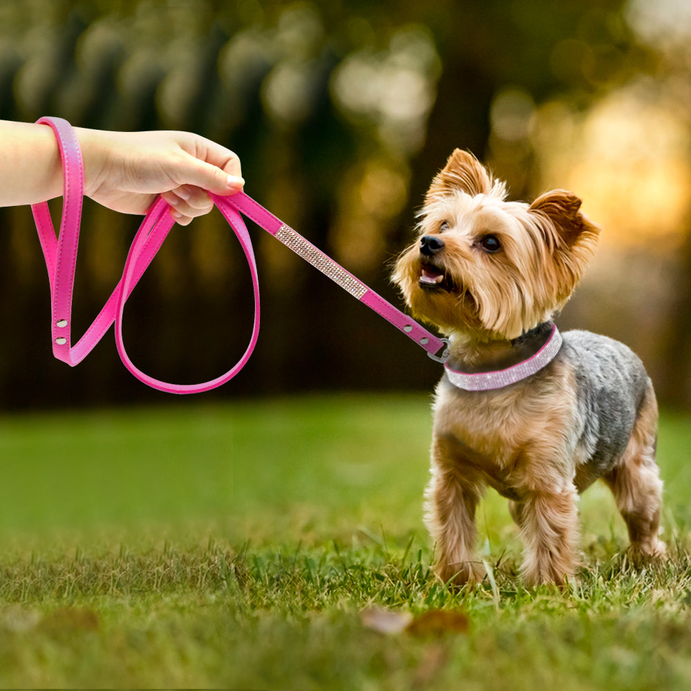 Anniepaw Bling Rhinestone Dog Cat Collars Leather Pet Puppy Kitten Collar Walk Leash Lead For Small Medium Dogs Cats Chihuahua Pug Yorkie AnniePaw Wear