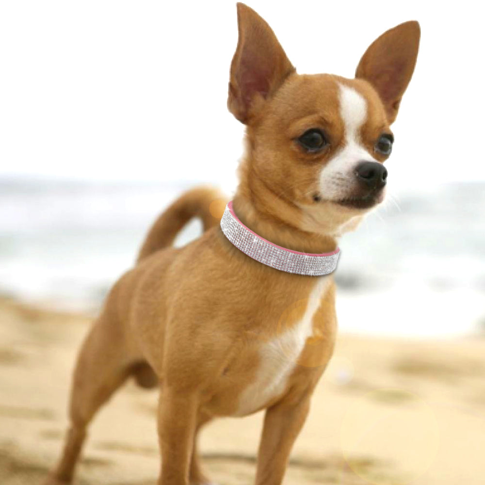 Anniepaw Bling Rhinestone Dog Cat Collars Leather Pet Puppy Kitten Collar Walk Leash Lead For Small Medium Dogs Cats Chihuahua Pug Yorkie AnniePaw Wear
