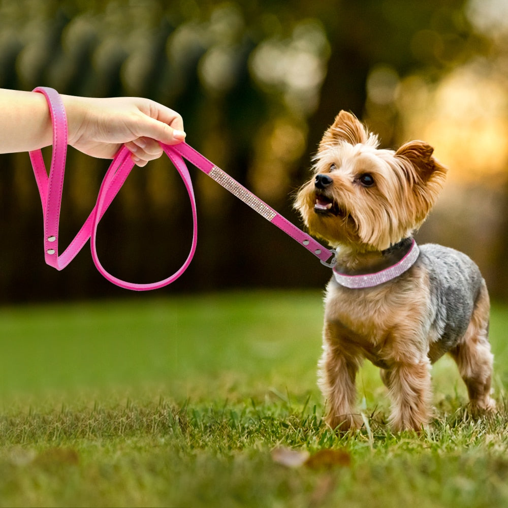 Anniepaw Bling Rhinestone Dog Cat Collars Leather Pet Puppy Kitten Collar Walk Leash Lead For Small Medium Dogs Cats Chihuahua Pug Yorkie AnniePaw Wear