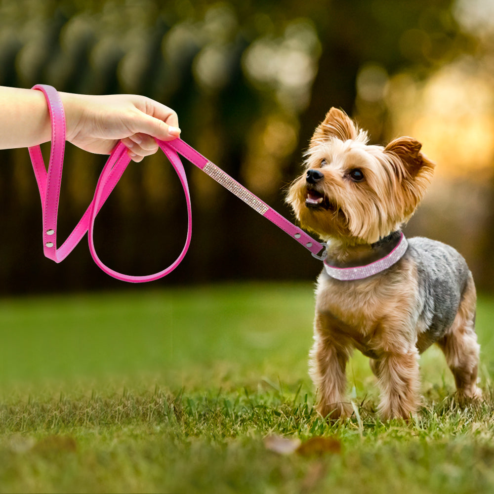 Anniepaw Bling Rhinestone Dog Cat Collars Leather Pet Puppy Kitten Collar Walk Leash Lead For Small Medium Dogs Cats Chihuahua Pug Yorkie AnniePaw Wear