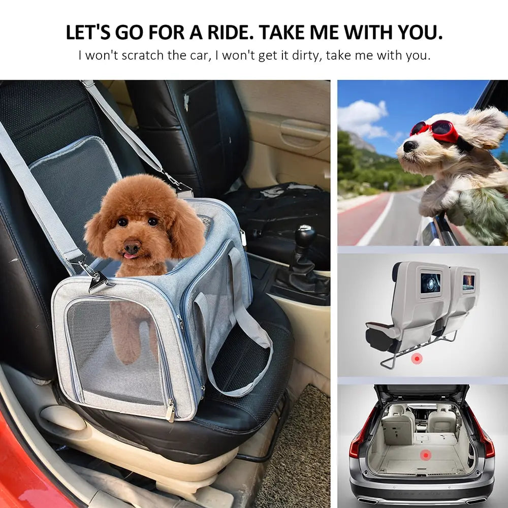 Anniepaw Airline Approved Soft Side Dog Carrier Backpack for Small Pets AnniePaw Wear