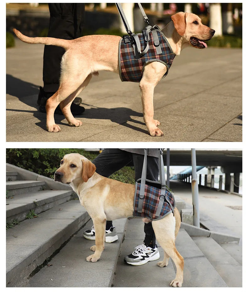 AnniePaw Leg Harness for Senior Dogs - Support for Mobility AnniePaw Wear