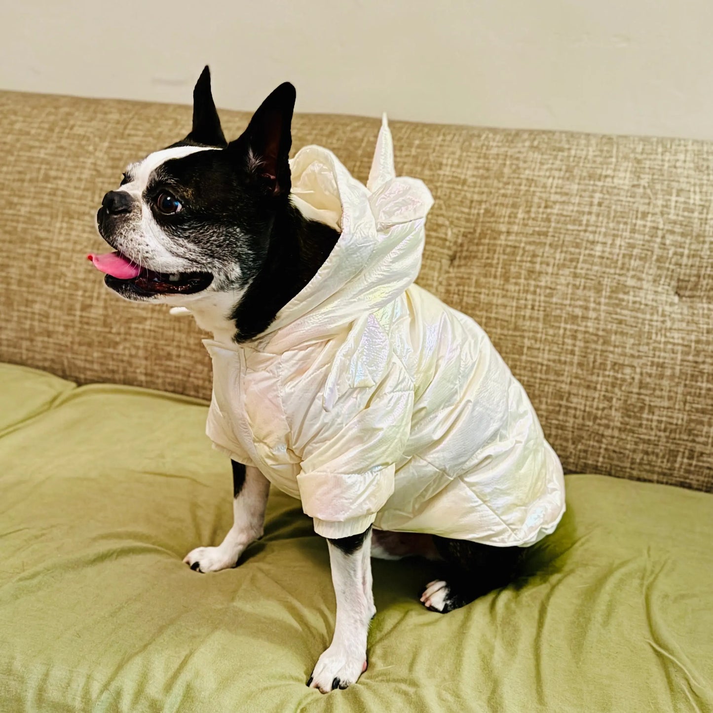 Anniepaw Waterproof Warm Winter Snowsuit Unicorn Jacket for Dogs AnniePaw Wear