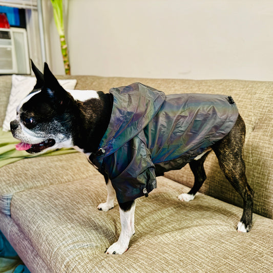 Anniepaw Fashion Flashing Dog Hoodie: Reflective Jacket Clothing for Small to Large Pets
