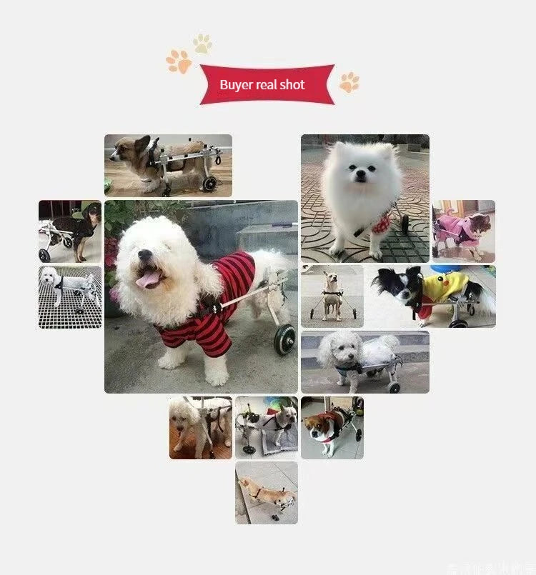 Pet Wheelchair for Small & Medium Dogs - Rear Limb Mobility Aid Cart AnniePaw Wear