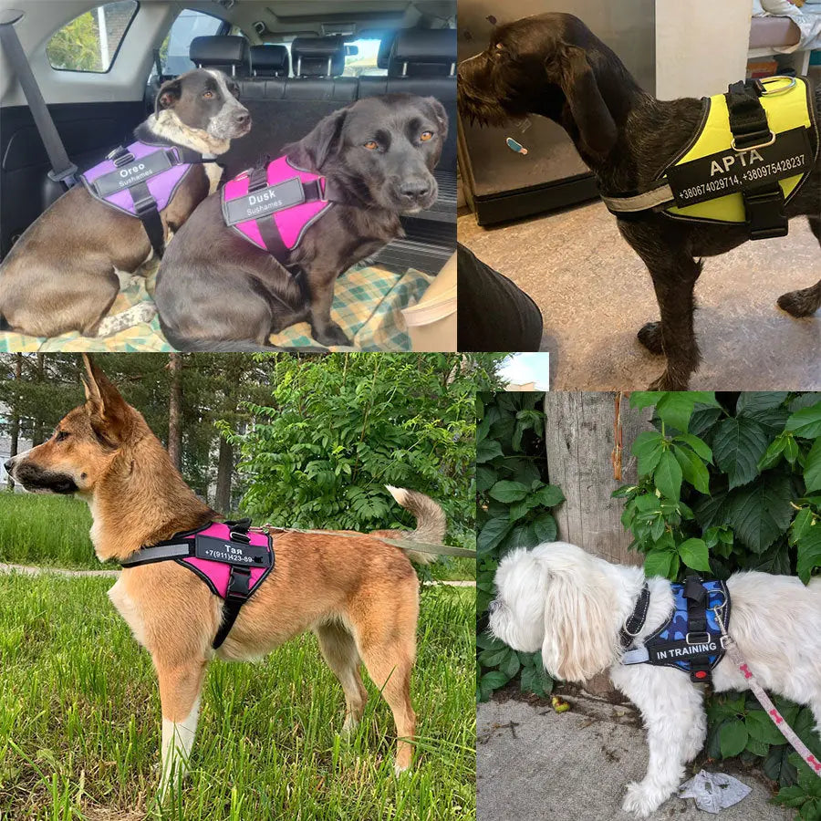Anniepaw Explosion-proof Dog Leash Vest Style Chest Strap Walking Rope Pet Supplies Accessories AnniePaw Wear