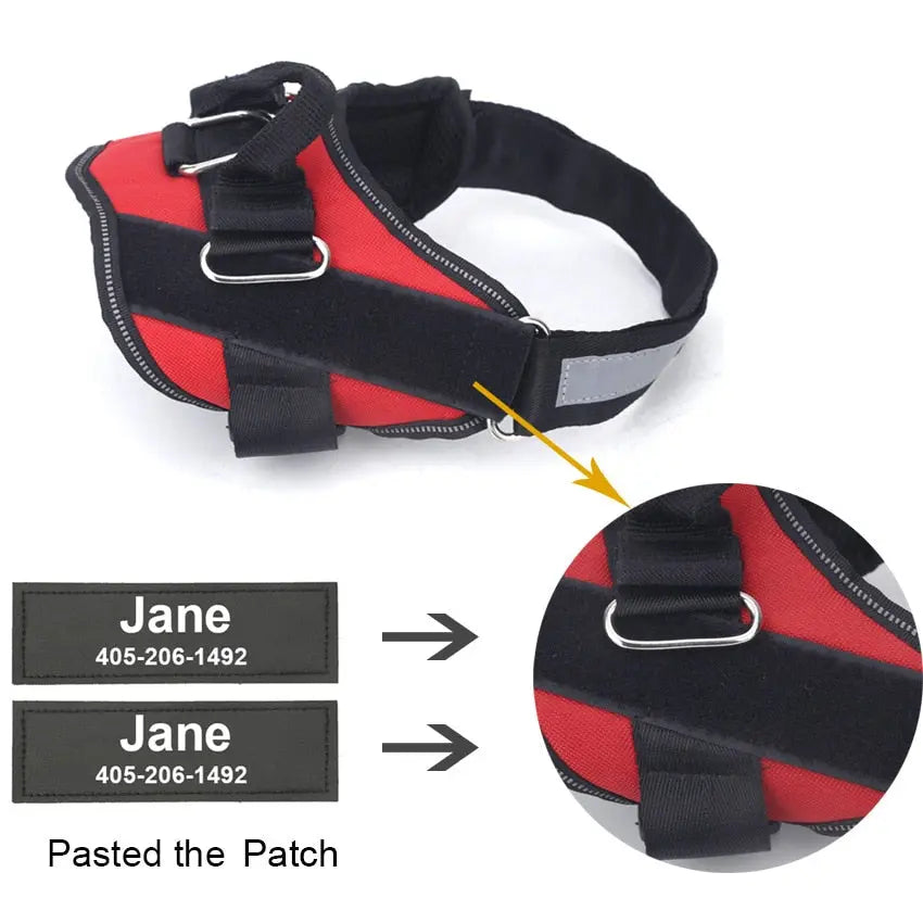 Anniepaw Explosion-proof Dog Leash Vest Style Chest Strap Walking Rope Pet Supplies Accessories AnniePaw Wear