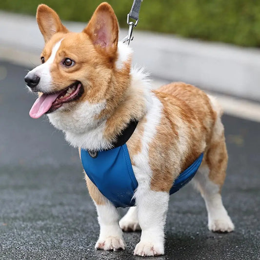 Breathable Dog Belly Band - Waterproof Anti-Dirty Belly Cover for Pets - AnniePaw Wear