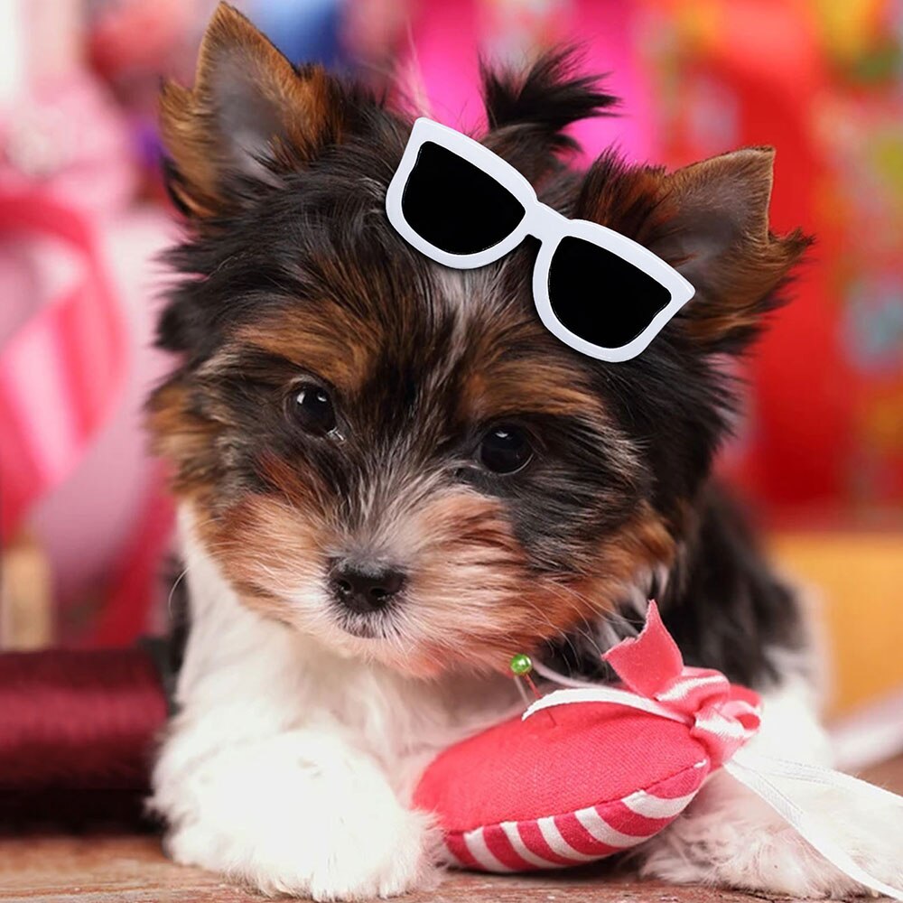 AnniePaw 1PC New Hair Clips Dog Glasses Sunscrenn AnniePaw Wear
