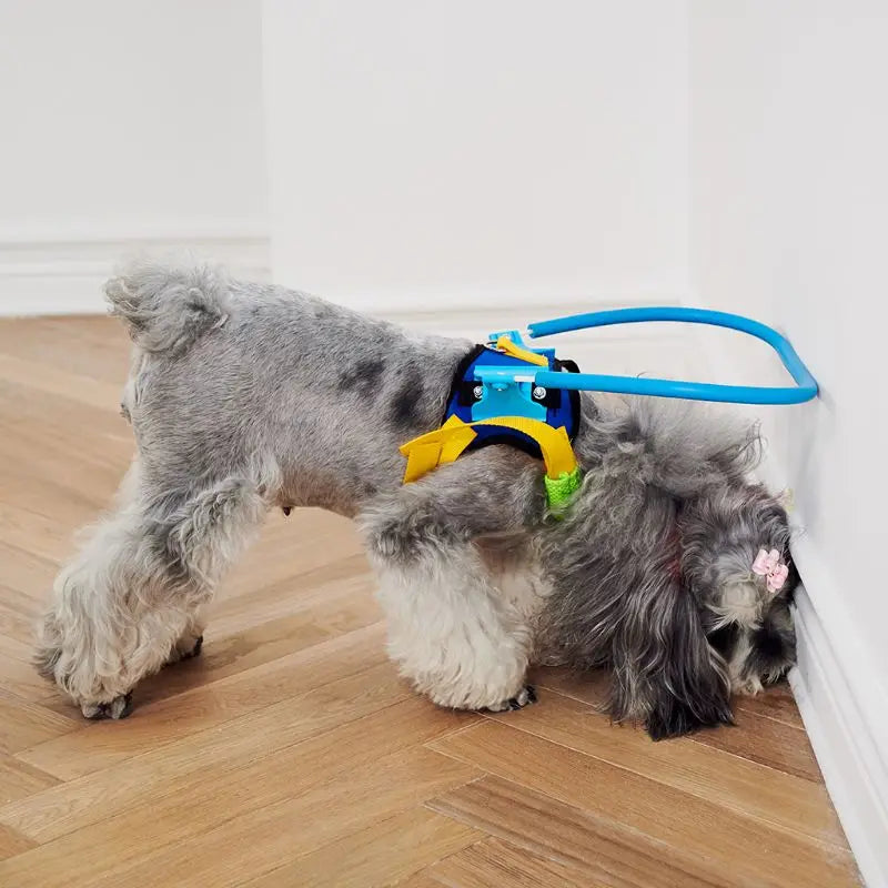 Adjustable Blind Dog Harness - Guiding Device for Small to Large Dogs AnniePaw Wear