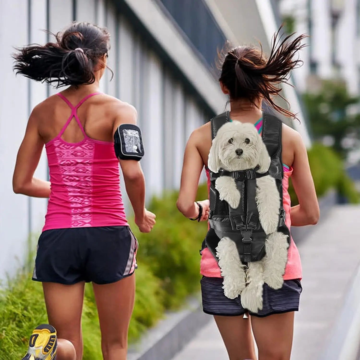 Anniepaw Portable Breathable Dog Bag Front Travel Adjustable Backpack Pet Carriers AnniePaw Wear