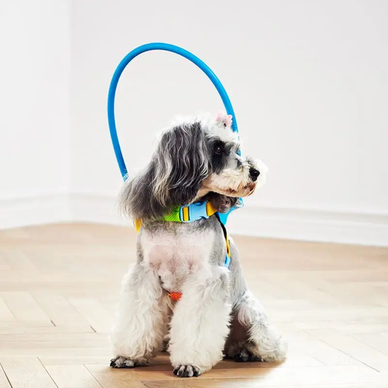 Adjustable Blind Dog Harness - Guiding Device for Small to Large Dogs AnniePaw Wear