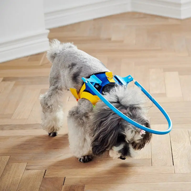 Adjustable Blind Dog Harness - Guiding Device for Small to Large Dogs AnniePaw Wear
