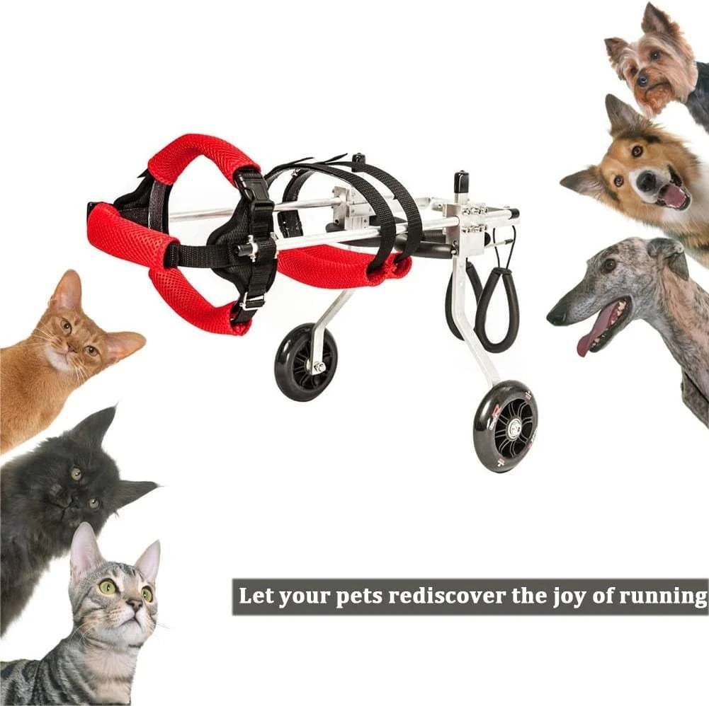 Pet Wheelchair for Small & Medium Dogs - Rear Limb Mobility Aid Cart AnniePaw Wear