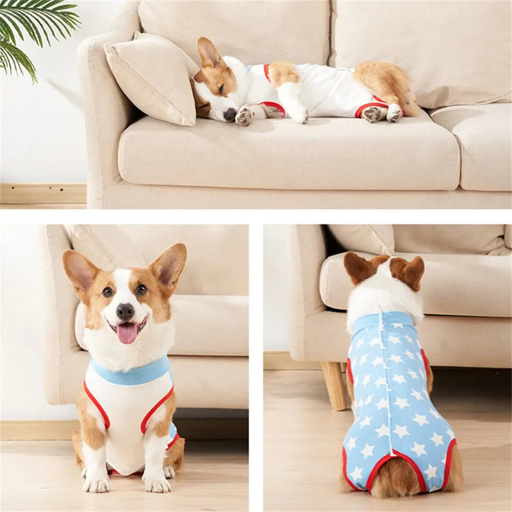 AnniePaw Dog Recovery Suit Post-Op Vest After Surgery Wear Substitute AnniePaw Wear