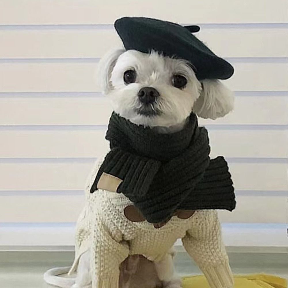 Anniepaw Cute Winter Leather Adjustment Dog Beret Hat Dog Ear Muffs Headgear Cap AnniePaw Wear
