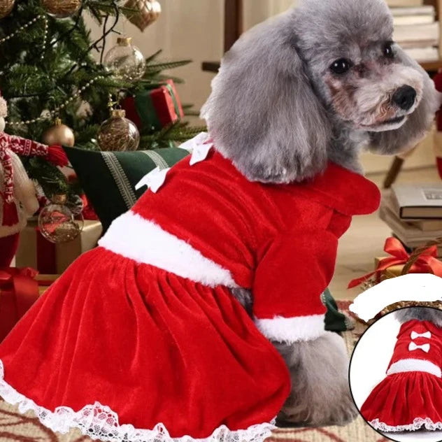 Independence Day Dog Costume - Funny Flag Pet Clothing AnniePaw Wear