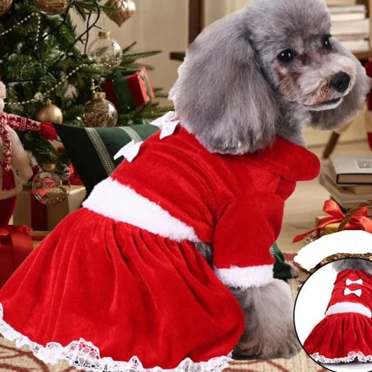Independence Day Dog Costume - Funny Flag Pet Clothing AnniePaw Wear