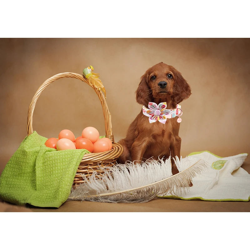Anniepaw Personalized Easter Dog Collar with Flower Easter Egg Style for All Sizes AnniePaw Wear
