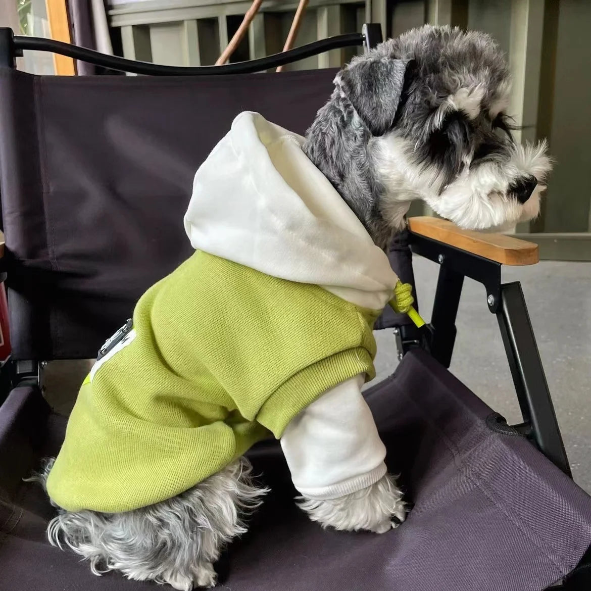Anniepaw Dog Clothes Winter Dog Hooded Sweatshirt Warm French Bulldog Puppy Coat for Small Medium Dogs Pet Costume Chihuahua Pug AnniePaw Wear