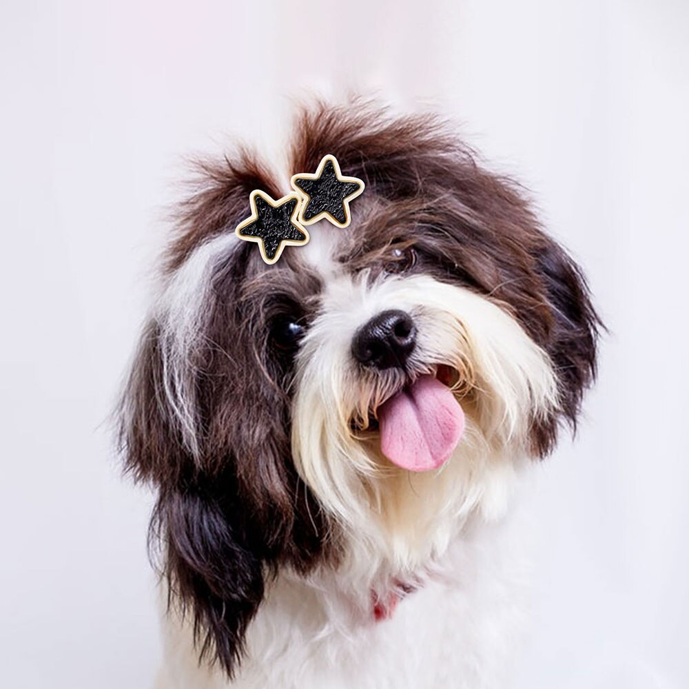 AnniePaw 1PC New Hair Clips Dog Glasses Sunscrenn AnniePaw Wear