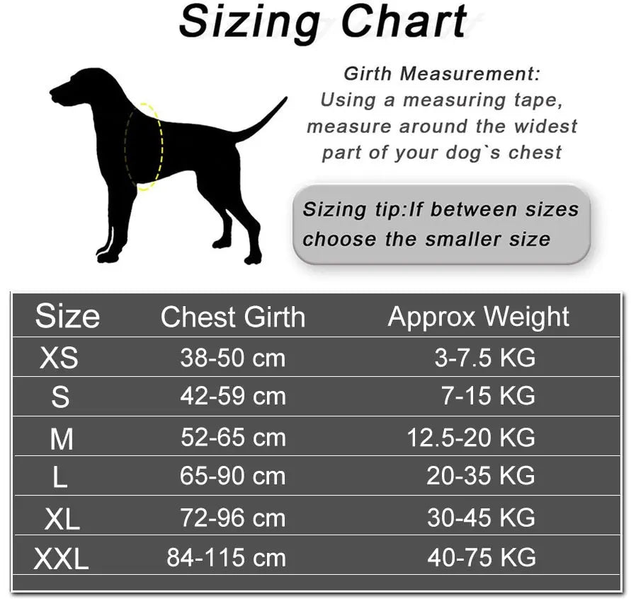 Anniepaw Explosion-proof Dog Leash Vest Style Chest Strap Walking Rope Pet Supplies Accessories AnniePaw Wear