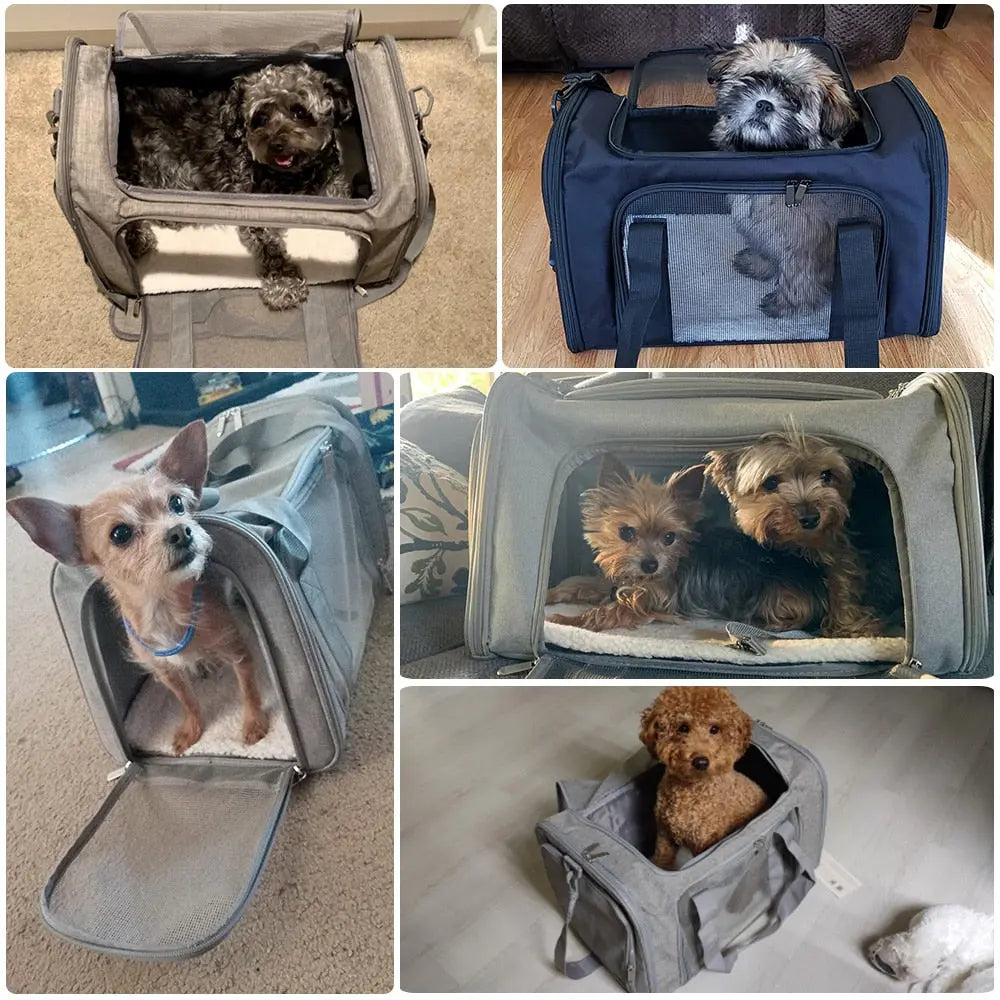 Anniepaw Airline Approved Soft Side Dog Carrier Backpack for Small Pets AnniePaw Wear