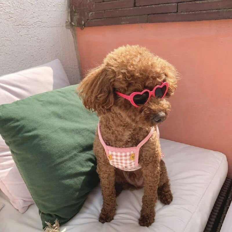 Anniepaw Dog Heart Sunglasses AnniePaw Wear