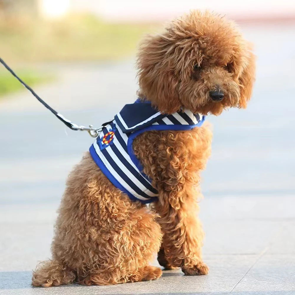 Anniepaw Navy Style Leash Set Soft Breathable for Small Dogs AnniePaw Wear