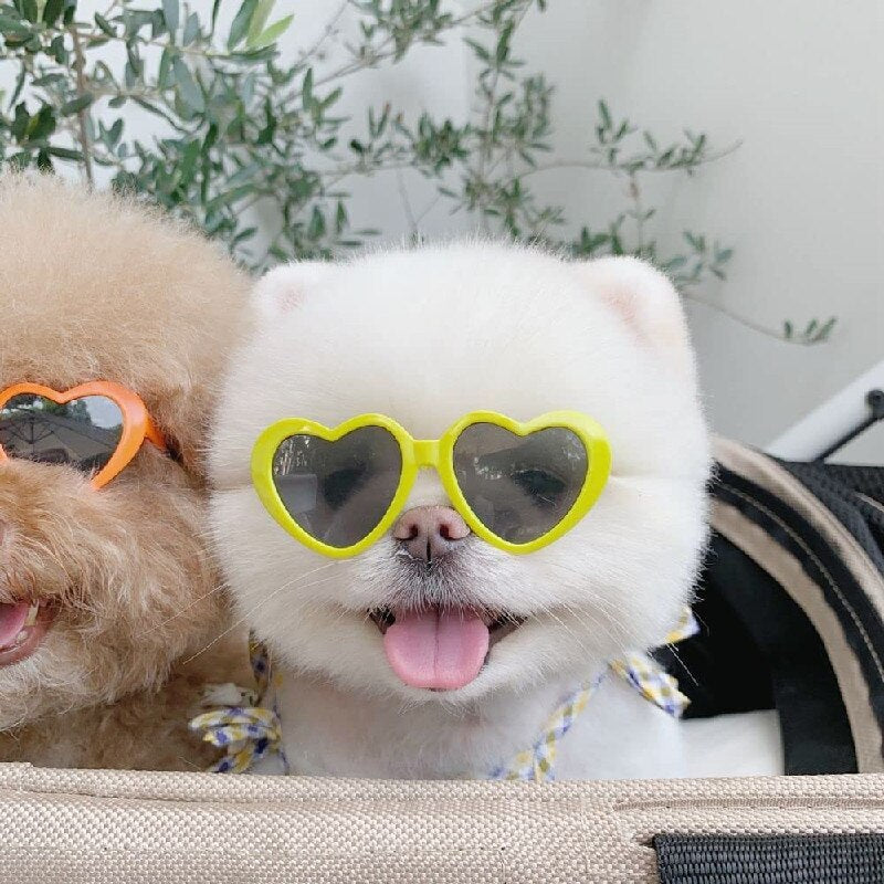 Anniepaw Dog Heart Sunglasses AnniePaw Wear