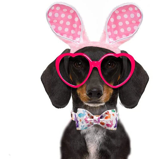 Easter Dog Collar with Bowtie Rabbit Style for All Sizes Anniepaw AnniePaw Wear