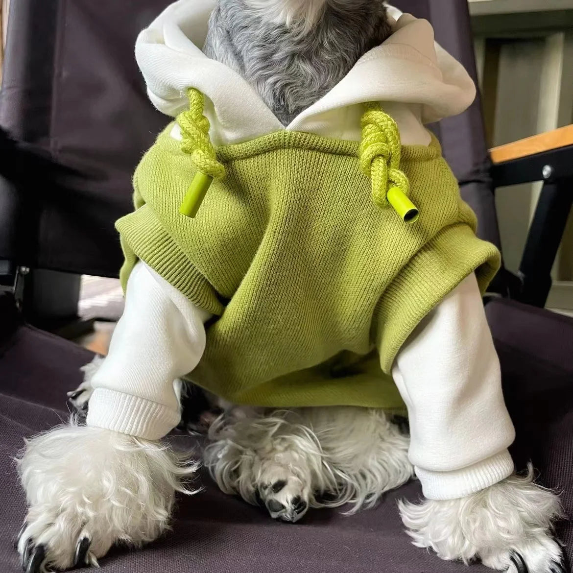 Anniepaw Dog Clothes Winter Dog Hooded Sweatshirt Warm French Bulldog Puppy Coat for Small Medium Dogs Pet Costume Chihuahua Pug AnniePaw Wear