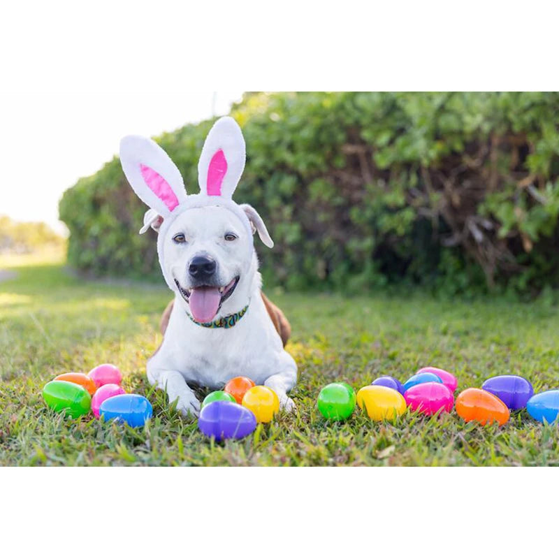 Easter Egg Surprise Toys for Pets Fillable for Games Gifts Anniepaw AnniePaw Wear