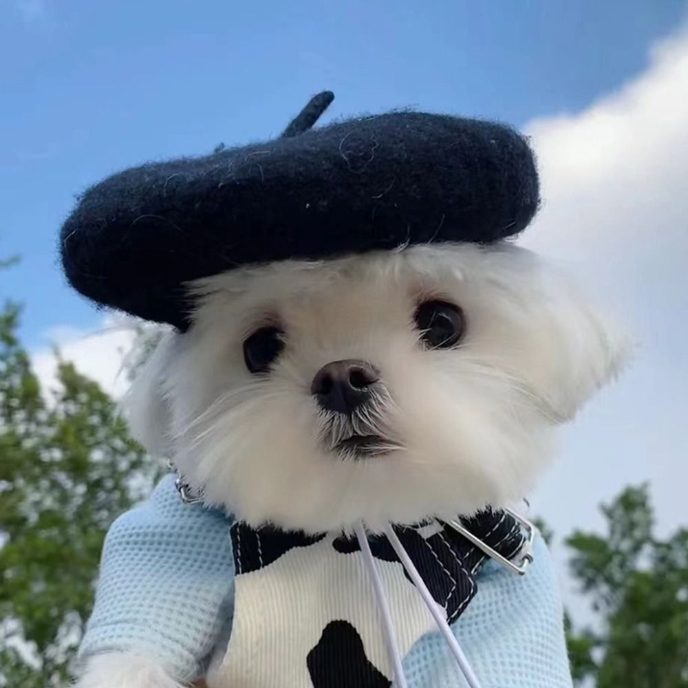 Anniepaw Cute Winter Leather Adjustment Dog Beret Hat Dog Ear Muffs Headgear Cap