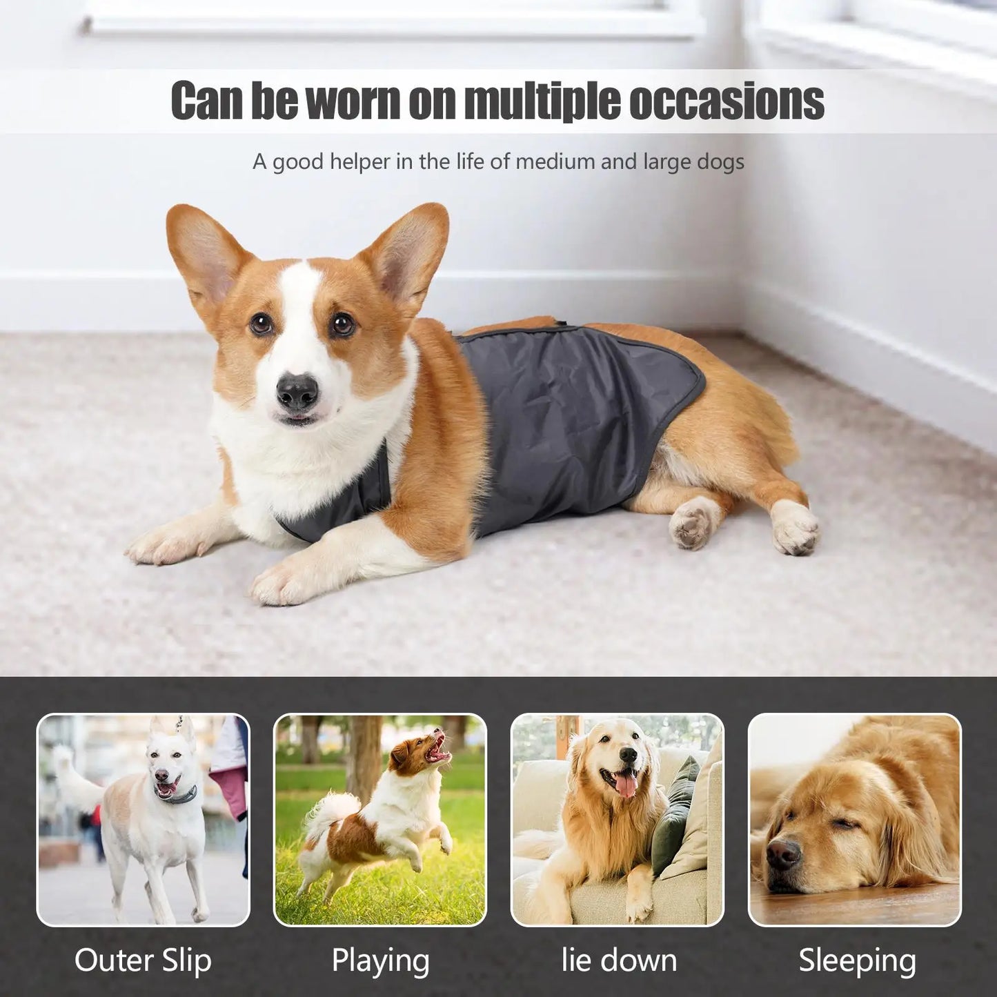 Anniepaw Dog Belly Cover Breathable Waterproof Washable AnniePaw Wear
