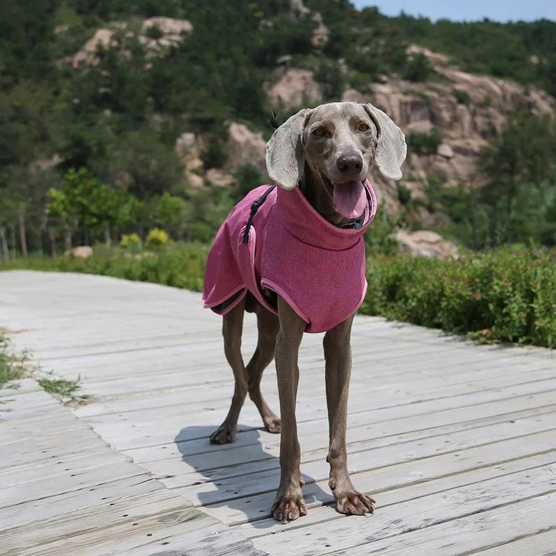 3 in 1 Detachable Ski Suit Windproof Winter Thick Outdoor Jacket - Annie Paw WearWinter OutwearAnnie Paw Wear