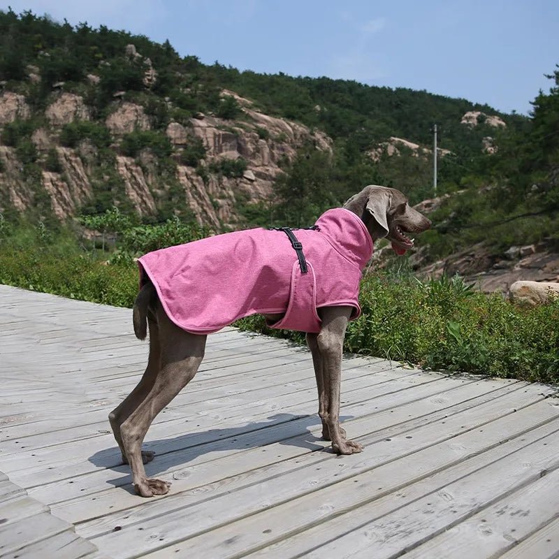 3 in 1 Detachable Ski Suit Windproof Winter Thick Outdoor Jacket - Annie Paw WearWinter OutwearAnnie Paw Wear