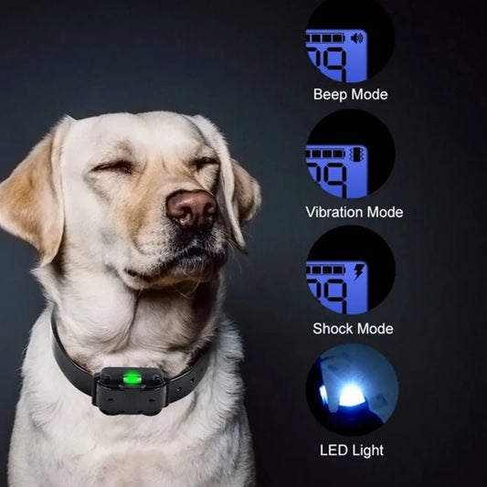 800m Digital Dog Training Collar Waterproof Rechargeable Remote Control Pet with LCD Display for All Size Shock Vibration Sound - Annie Paw WearHome Dog AccessoriesAnnie Paw Wear