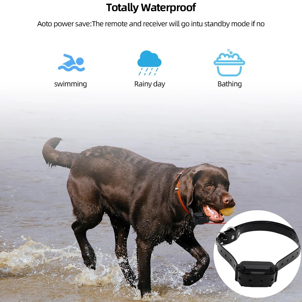 800m Digital Dog Training Collar Waterproof Rechargeable Remote Control Pet with LCD Display for All Size Shock Vibration Sound - Annie Paw WearHome Dog AccessoriesAnnie Paw Wear