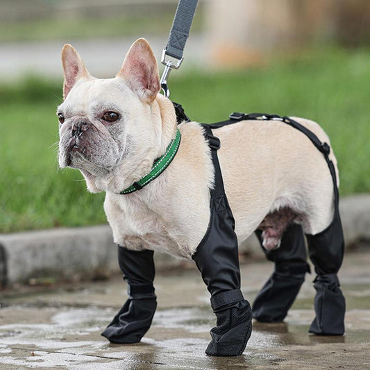 Adjustable Dog Boots: Anti-Dirty Anti-Wet Skin-Friendly Snowy Walking Paw Protectors - Annie Paw WearShoes &Boots &SocksAnniePaw Wear