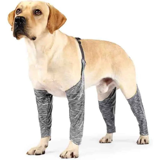 Adjustable Dog Leggings Anti Lick Recovery Dog Sleeves - Annie Paw WearNursing & ReliefAnnie Paw Wear